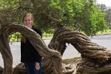 SLT-A33-20130617-DSC06474 : 2013, Alison, Alison Mull, Golden Gate Park, San Francisco, _highlights_, tree