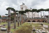 ILCE-6500-20190518-DSC05464 : 2019, Forum of Caesar, Italy, Rome