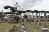 ILCE-6500-20190518-DSC05466 : 2019, Forum of Caesar, Italy, Rome
