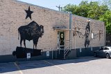 Bison #1 at Bird's Barbar Shop mural  1902 S Congress Ave : 2024, Austin, Texas, mural