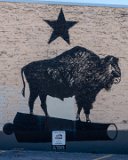 Bison #1 at Bird's Barbar Shop mural  1902 S Congress Ave : 2024, Austin, Texas, mural