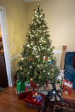 ILCE-7M4-20241225-DSC07535 : 2024, Christmas, tree