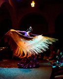 Sevilla - Flamenco  Flamenco show in Sevilla : 2015, Sevilla, Sirna Reunion Board, Spain