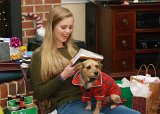 ILCE-6500-20171225-DSC01081 : 2017, Alison, Christmas, Pipa dog, animals