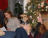 ILCE-6500-20181225-DSC04053 : 2018, Amy, Christmas, John, Leslie, Pipa dog, animals