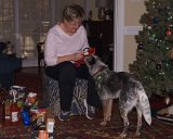 ILCE-6500-20211223-DSC07594 : 2021, Christmas, Lois, Salsa dog, animals