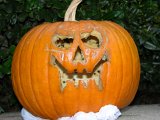 E8700-20041105-DSCN0601  Holloween 2004 Pumpkin Carving Jackolantern : 2004, Halloween