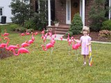 104-0435 IMG : Alison, birthday, flamingo