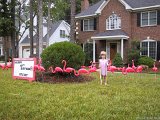 104-0437 IMG : Alison, birthday, flamingo