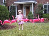 104-0438 IMG : Alison, birthday, flamingo
