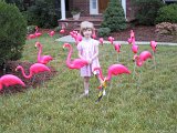 104-0439 IMG : Alison, birthday, flamingo