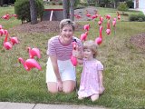 104-0440 IMG : Alison, Lois, birthday, flamingo