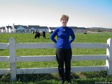 Lois with Belted Galoways  Lois with Belted Galoway caows at Farrington Village on our 10th anniversary : Farrington, Lois, anniversary, belted galoway