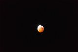 ILCE-6500-20190121-DSC04139  Super Blood Wolf Moon Eclipse of 2019 : eclipse, moon