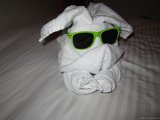 100 HS-20120618-IMG 0065  towel art pig : 2012, Carribean, cruise