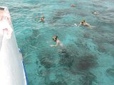 100 HS-20120621-IMG 0277  Grand Cayman snorkeling : 2012, Alison, Carribean, cruise