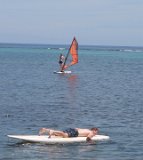 Alumnos 079  Roatan windsurfing lessons : 2012, Audrey Bowen, Carribean, Cole Bowen, cruise