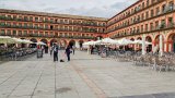 Cordoba  Plaza de la Corredera : 2015, Cordoba, Spain, _highlights_