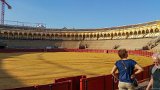 Sevilla - Grand Royal Bullring  Plaza de Toros de la Real Maestranza de Caballería de Sevilla. Grand royal bullring dating to 1761, still used for bullfights, plus museum of bullfighting art. : 2015, Sevilla, Spain, bullring