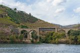 ILCE-6500-20181010-DSC03359 : 2018, Doura Valley, Douro River, Douro Valley, Portugal, _highlights_, _year_