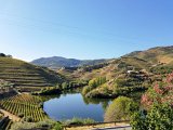 20181010 103000 : 2018, Douro Valley, Portugal, _year_