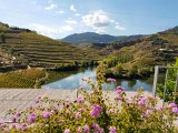 20181010 115113 : 2018, Douro Valley, Portugal, _year_