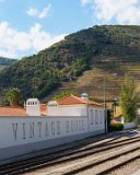 ILCE-6500-20181010-DSC03290 : 2018, Douro Valley, Pinhao, Portugal, Teresa, _year_
