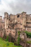 ILCE-7M4-20240619-DSC04788 : 2024, Germany, Heidelberg, Heidelberg Castle (Schloss Heidelberger)