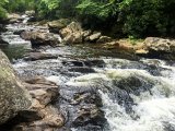 IMG 4743  On the way to Dry Falls : NC, NC Waterfalls