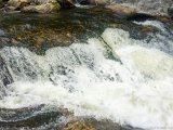 IMG 4752  On the way to Dry Falls : NC, NC Waterfalls