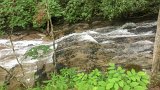 IMG 4879  Hike back from Moore Cove Falls : NC, NC Waterfalls
