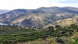 20181010 141647 : 2018, D'Origem estate, Douro Valley, Portugal, _year_