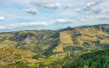 20181010 165247 : 2018, Douro Valley, Portugal, _year_