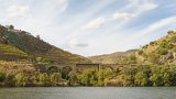 ILCE-6000-20181010-DSC04809 : 2018, Doura Valley, Douro River, Douro Valley, Portugal, _year_