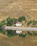 ILCE-6500-20181010-DSC03258 : 2018, Douro Valley, Portugal, _year_