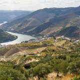 ILCE-6500-20181010-DSC03314 : 2018, Douro Valley, Portugal, _highlights_, _year_