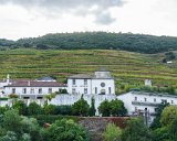 ILCE-6500-20181010-DSC03325  Royal Oporto hotel, Quinta das Carvalhas vineyard/farm : 2018, Doura Valley, Douro River, Douro Valley, Portugal, _year_