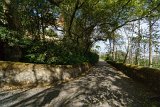 ILCE-6000-20181014-DSC04966 : 2018, Park of Pena (Parque da Pena), Pena Palace (Palácio da Pena), Portugal, Sintra, _highlights_, _year_