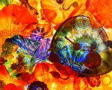 Persian Ceiling  Chihuly Gardens & Glass Persian Ceiling : 2018, Chihuly Gardens And Glass, Seattle, Settle Center