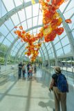 ILCE-6000-20180514-DSC04210  Chihuly Gardens And Glass The Glasshouse sculpture : 2018, Chihuly Gardens And Glass, Seattle, Settle Center