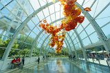 ILCE-6000-20180514-DSC04211  Chihuly Gardens And Glass The Glasshouse sculpture : 2018, Chihuly Gardens And Glass, Seattle, Settle Center