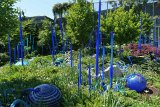 ILCE-6000-20180514-DSC04224  chihuly Gardens And Glass Blues reeds and orbs : 2018, Chihuly Gardens And Glass, Seattle, Settle Center