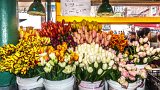 ILCE-6500-20180511-DSC01694 : 2018, Pike Place Market, Seattle, flowers & plants