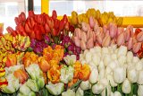 ILCE-6500-20180511-DSC01695 : 2018, Pike Place Market, Seattle, flowers & plants