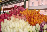 ILCE-6500-20180511-DSC01697 : 2018, Pike Place Market, Seattle, flowers & plants