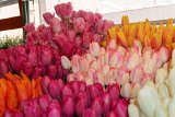 ILCE-6500-20180511-DSC01699 : 2018, Pike Place Market, Seattle, flowers & plants