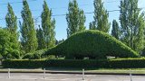 ILCE-6500-20180512-DSC01896  Freemont statues Freemont Dinosaurs Ivy in the shape of two apatosauruses. Originally from the Pacific Science Center which wanted to get ride of them. They were bought for $1 by a local and transported to Fremont. 66-feet long, the Fremont dinosaurs now even have plumbing and electricity. : 2018, Freemont, Seattle