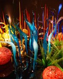ILCE-6500-20180514-DSC02153  Chihuly Gardens And Glass Mille Fiori (Thousand Flowers) : 2018, Chihuly Gardens And Glass, Seattle, Settle Center