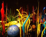 ILCE-6500-20180514-DSC02154  Chihuly Gardens And Glass Mille Fiori (Thousand Flowers) : 2018, Chihuly Gardens And Glass, Seattle, Settle Center