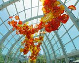 ILCE-6500-20180514-DSC02159  Chihuly Gardens And Glass The Glasshouse sculpture : 2018, Chihuly Gardens And Glass, Seattle, Settle Center